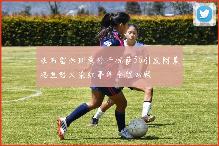 法布雷加斯意外干扰萨56引发阿莱格里怒火染红事件全程回顾